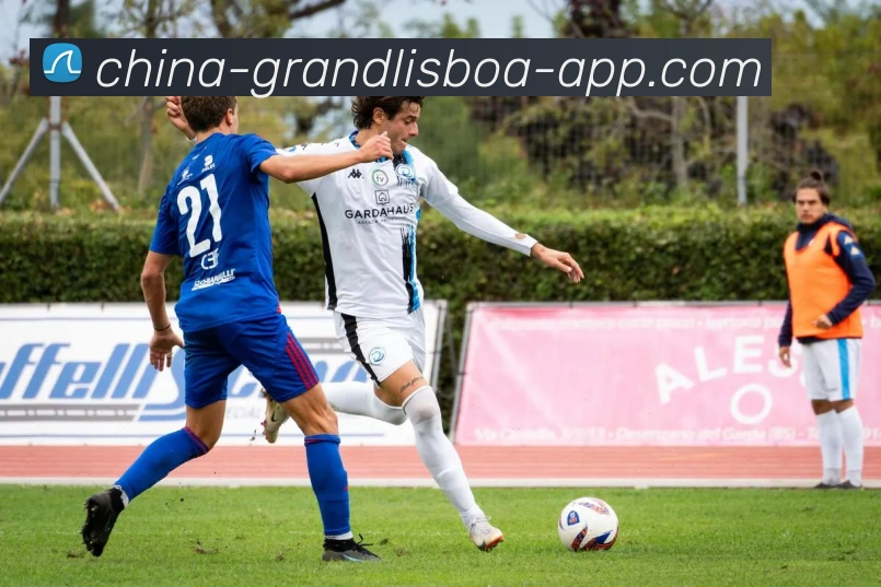 新葡京娱乐服务体系